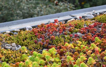 the cost of Roxburgh Mains green roof installation
