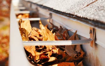 Roxburgh Mains gutter cleaning companies